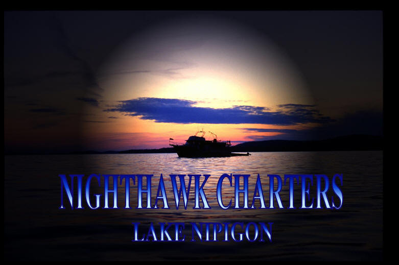 Nighthawk Charters